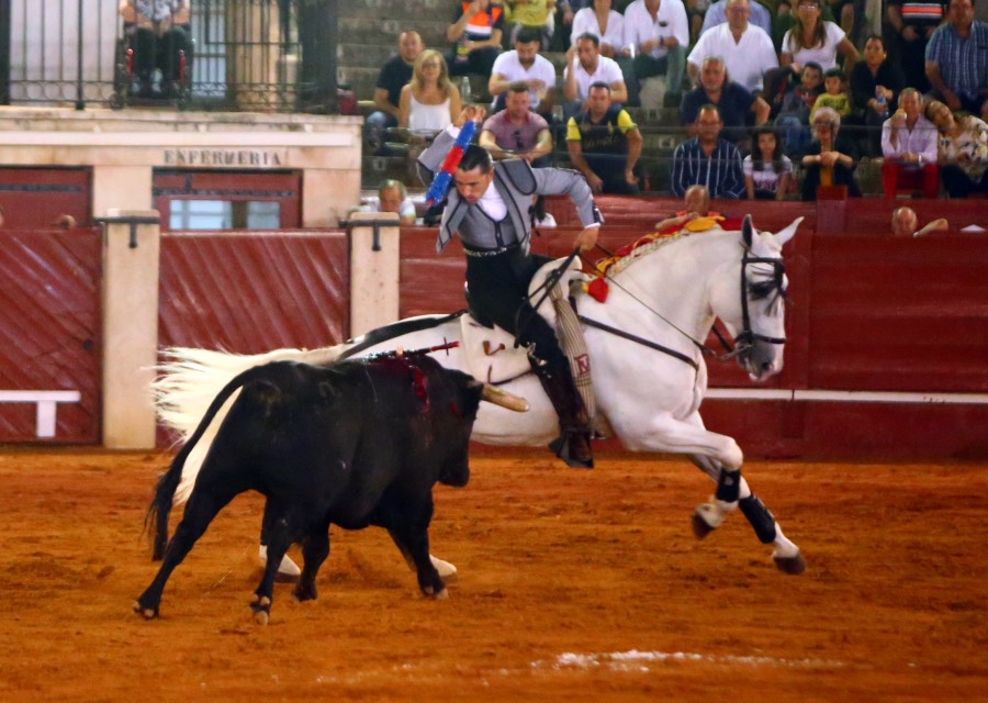 Aranjuez, sábado 7 de septiembre de 2019
