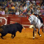 Aranjuez, sábado 7 de septiembre de 2019