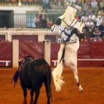 Aranjuez, sábado 7 de septiembre de 2019