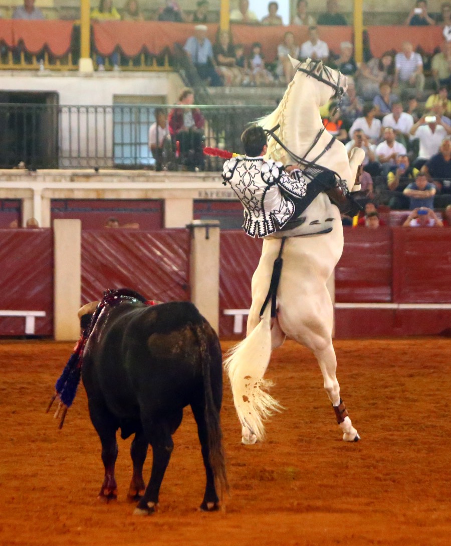 Aranjuez, sábado 7 de septiembre de 2019