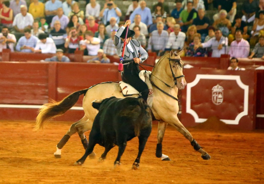 Aranjuez, sábado 7 de septiembre de 2019