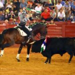 Aranjuez, sábado 7 de septiembre de 2019