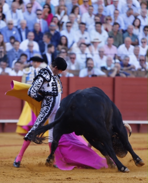 Sevilla, sábado 28 de septiembre de 2019