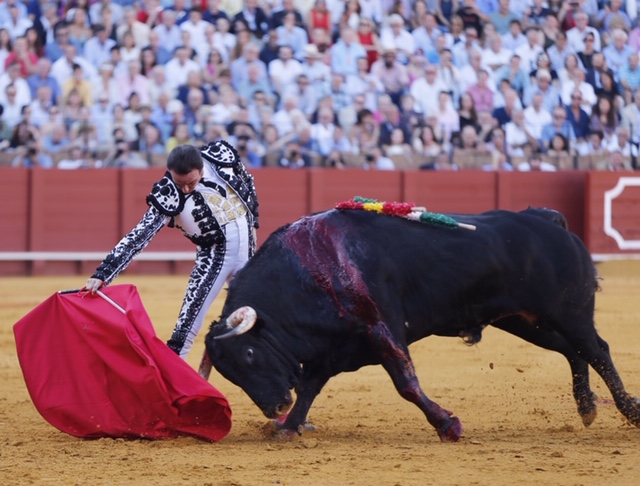 Sevilla, sábado 28 de septiembre de 2019