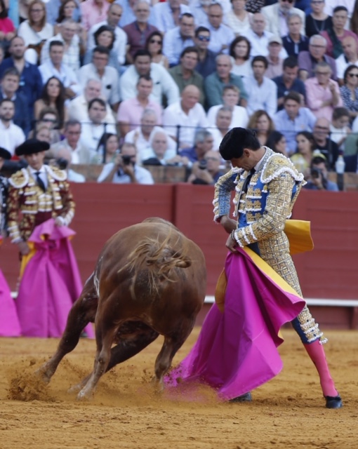 Sevilla, sábado 28 de septiembre de 2019