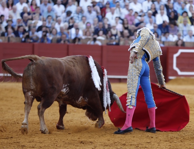 Sevilla, sábado 28 de septiembre de 2019