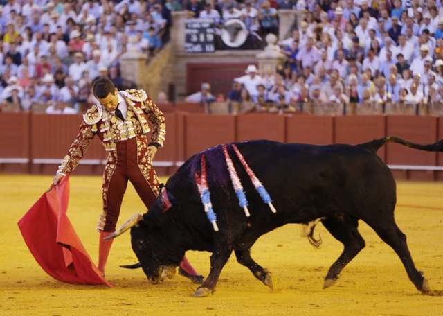 Sevilla, sábado 28 de septiembre de 2019