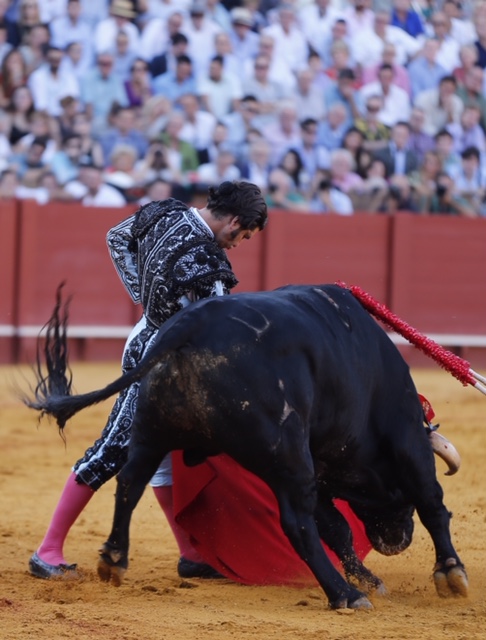 Sevilla, domingo 29 de septiembre de 2019