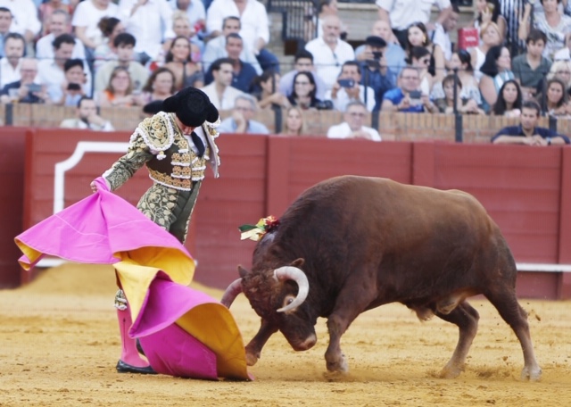 Sevilla, domingo 29 de septiembre de 2019