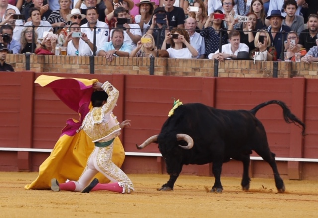 Sevilla, domingo 29 de septiembre de 2019