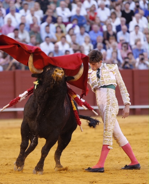 Sevilla, domingo 29 de septiembre de 2019