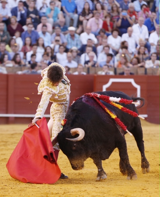 Sevilla, domingo 29 de septiembre de 2019