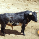 Sorteo. Sevilla, sábado 28 de septiembre de 2019