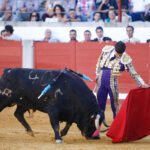 Pozoblanco, sábado 28 de septiembre de 2019