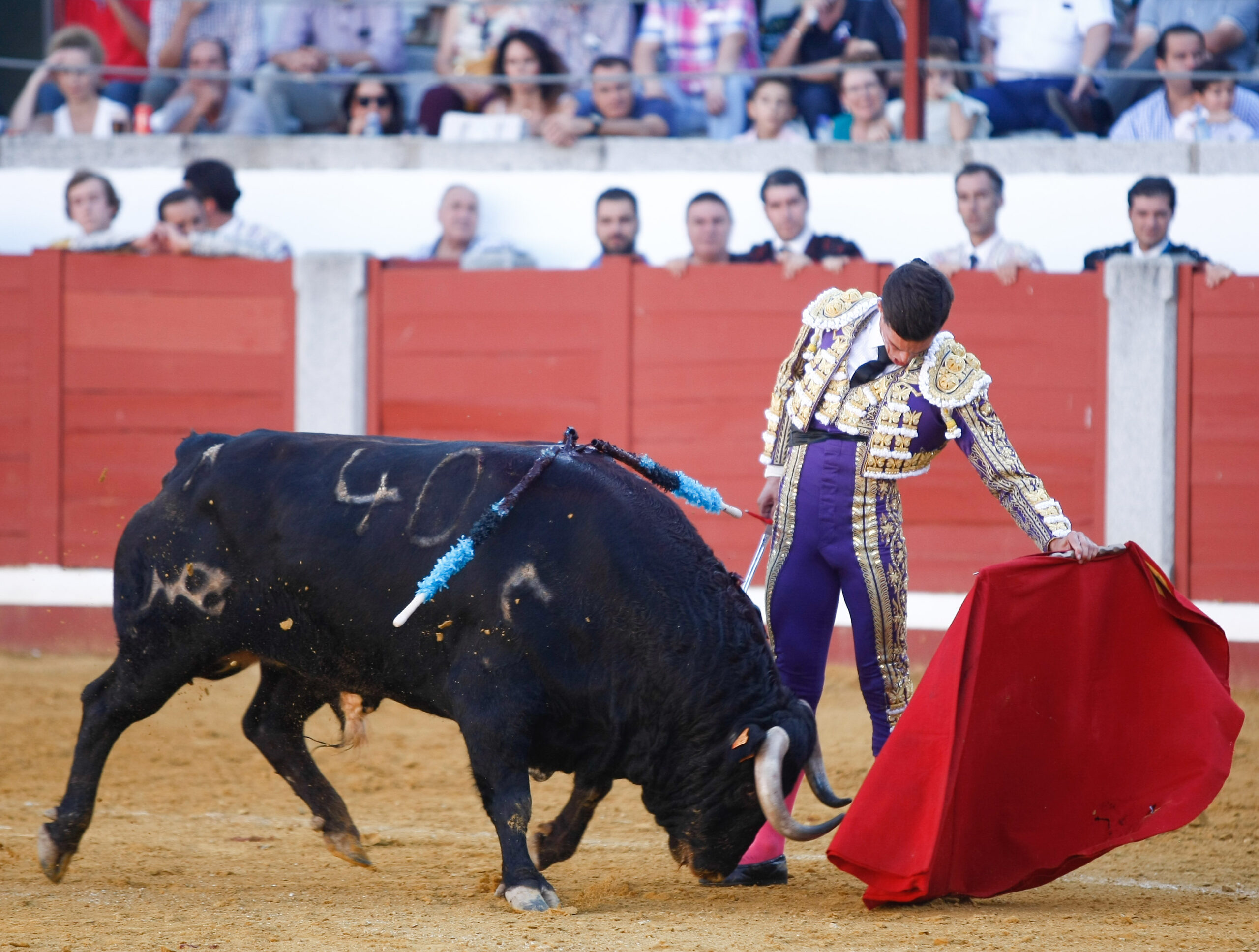 Pozoblanco, sábado 28 de septiembre de 2019