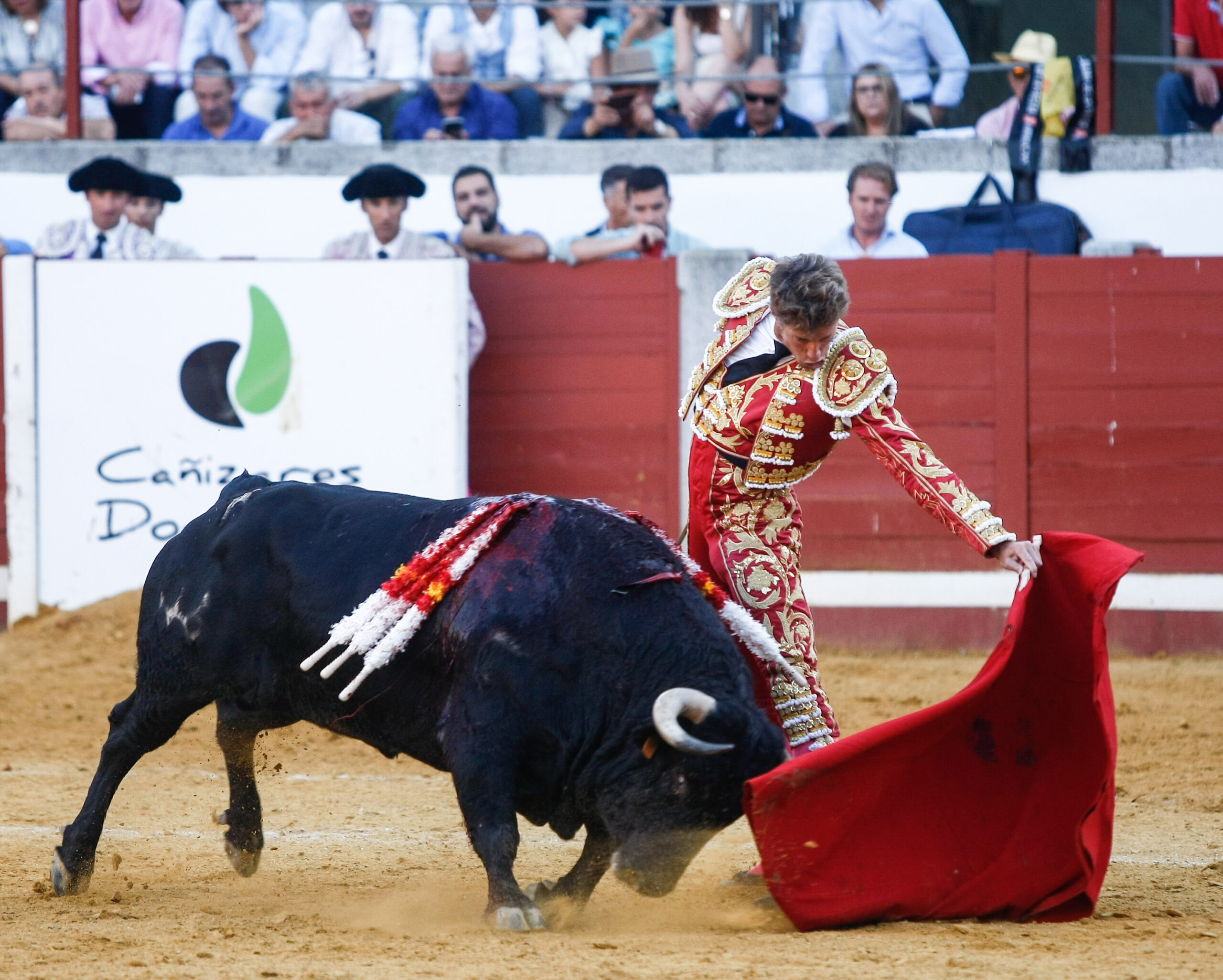 Pozoblanco, sábado 28 de septiembre de 2019