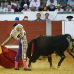 Pozoblanco, sábado 28 de septiembre de 2019