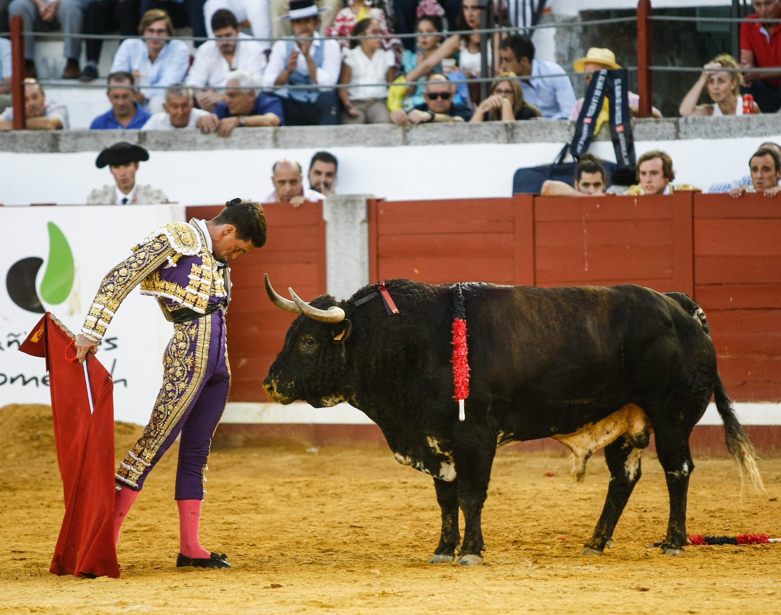 Pozoblanco, sábado 28 de septiembre de 2019