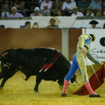 Pozoblanco, sábado 28 de septiembre de 2019
