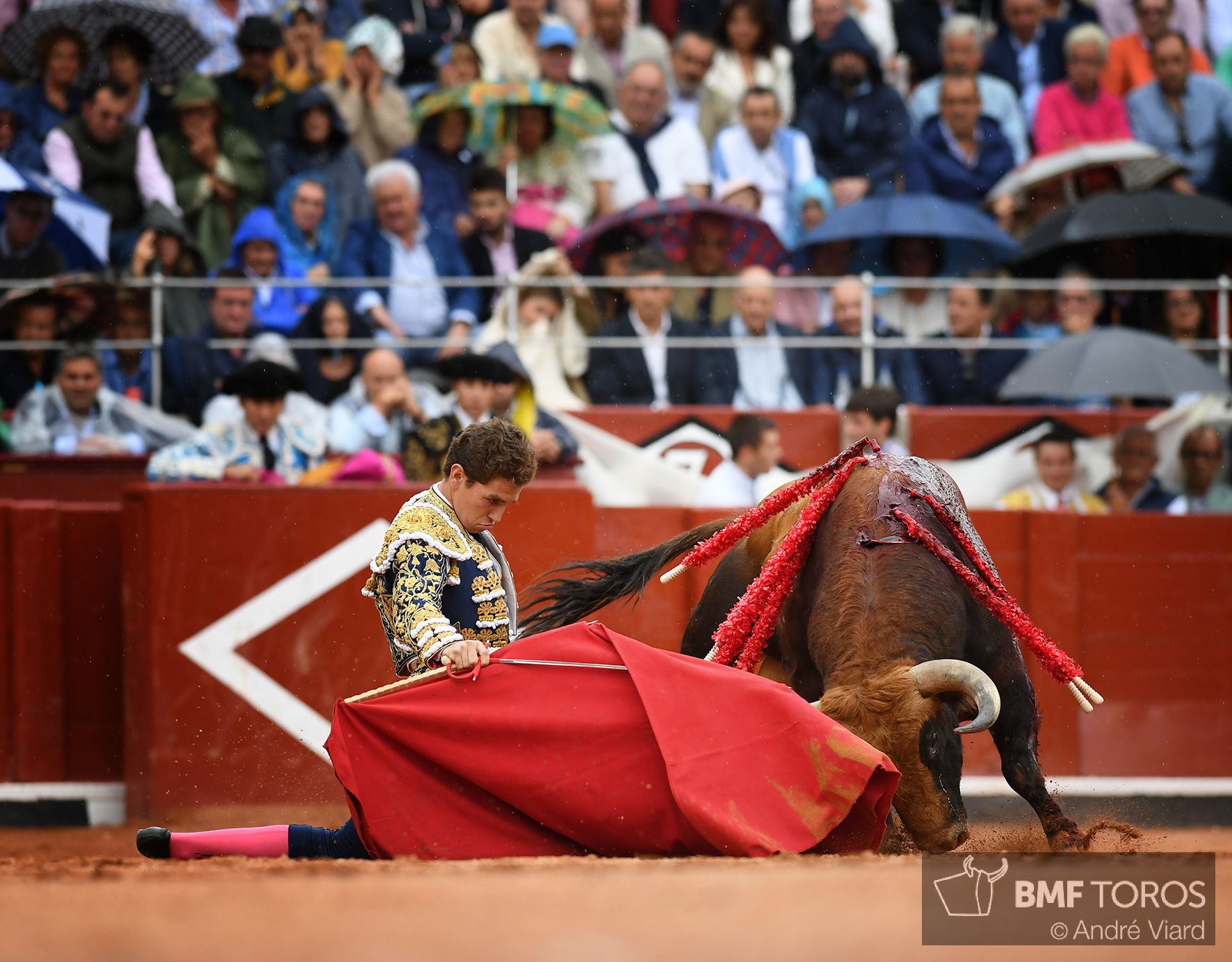 Salamanca, viernes 13 de septiembre de 2019