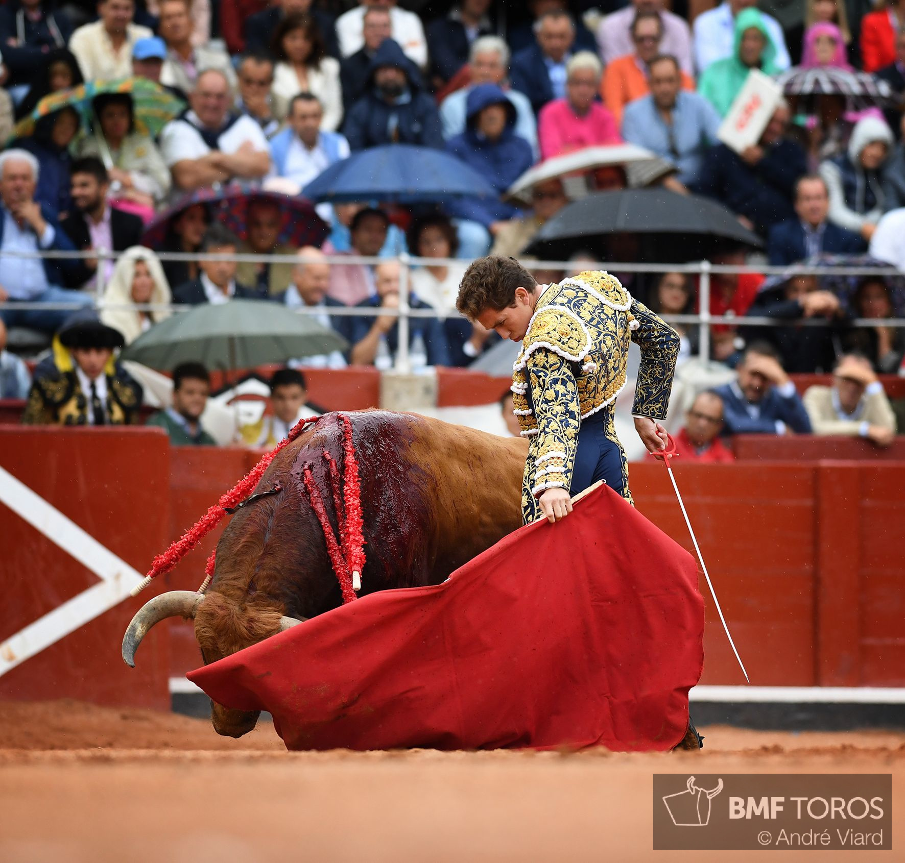 Salamanca, viernes 13 de septiembre de 2019