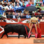 Salamanca, viernes 13 de septiembre de 2019