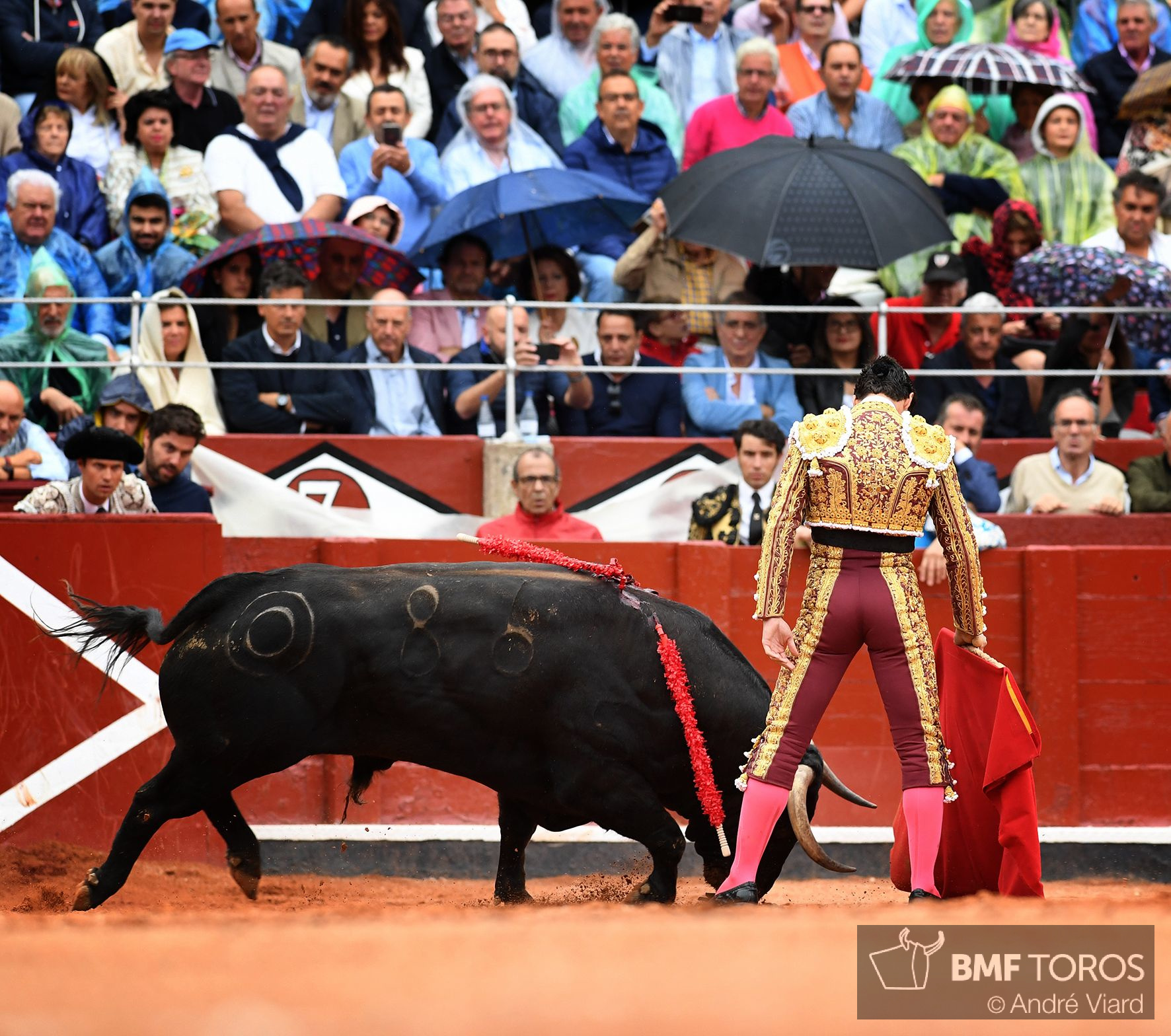 Salamanca, viernes 13 de septiembre de 2019