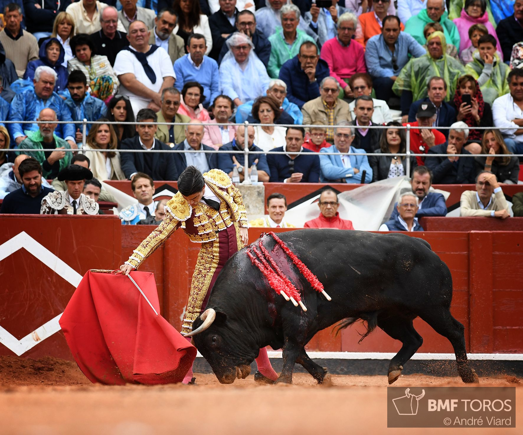 Salamanca, viernes 13 de septiembre de 2019