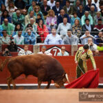 Salamanca, viernes 13 de septiembre de 2019