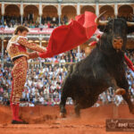 Salamanca, sábado 14 de septiembre de 2019