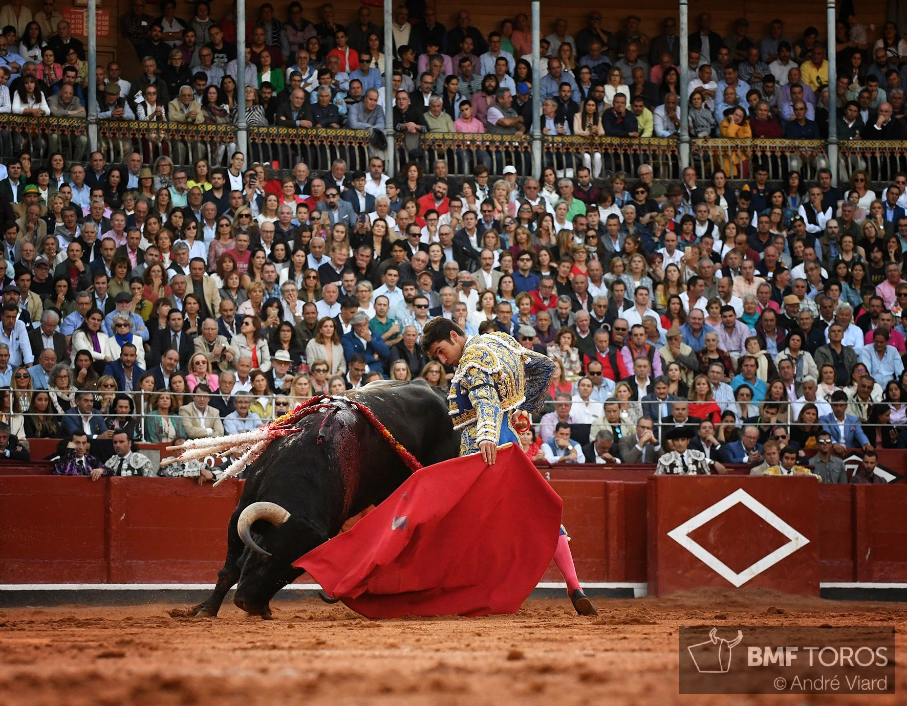 Salamanca, sábado 14 de septiembre de 2019