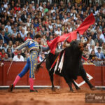 Salamanca, sábado 14 de septiembre de 2019