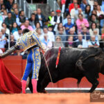 Salamanca, sábado 14 de septiembre de 2019