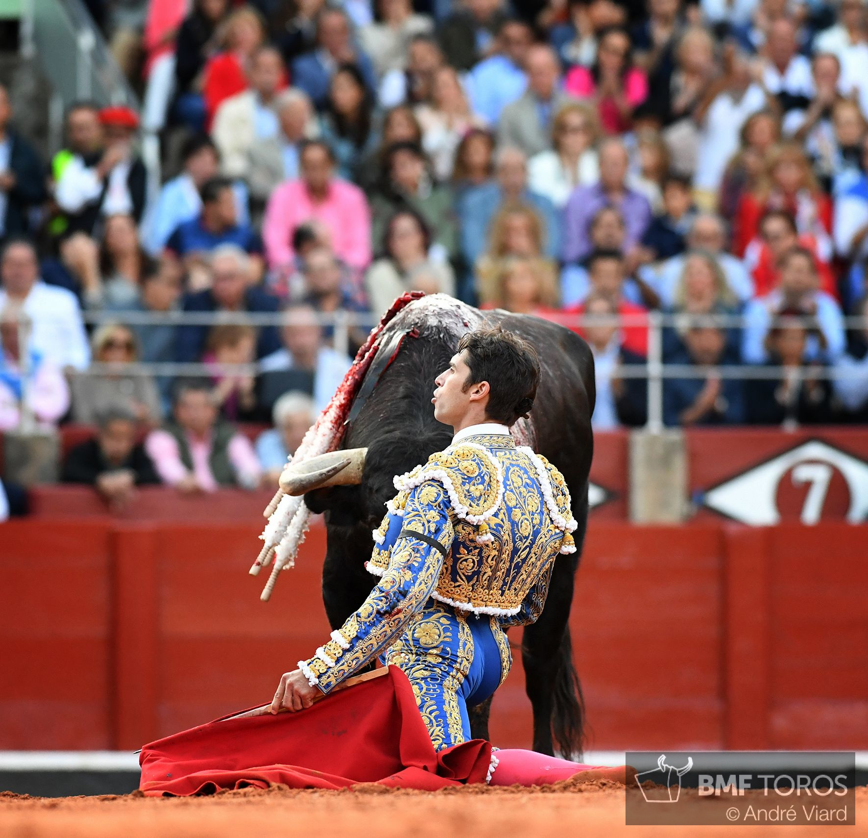 Salamanca, sábado 14 de septiembre de 2019