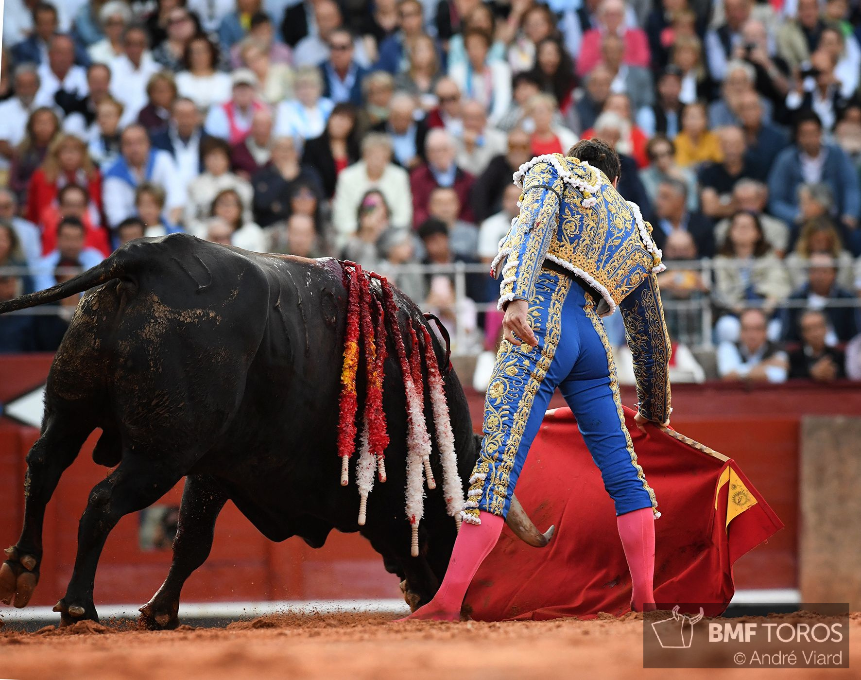 Salamanca, sábado 14 de septiembre de 2019