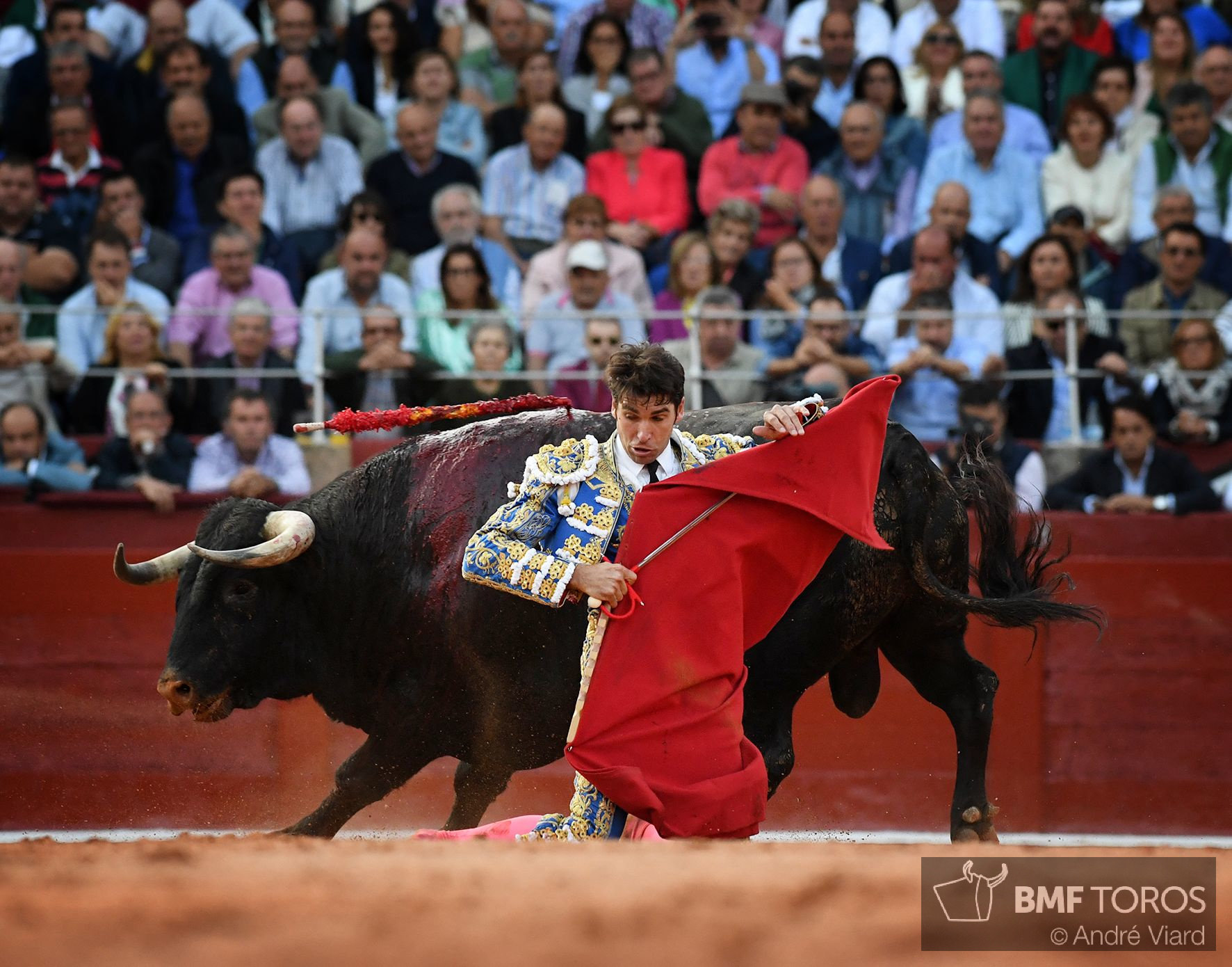 Salamanca, sábado 14 de septiembre de 2019
