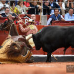 Salamanca, sábado 14 de septiembre de 2019