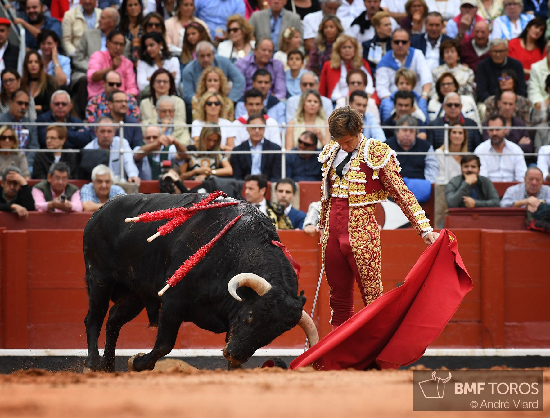 Salamanca, sábado 14 de septiembre de 2019