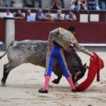 Madrid, domingo 1 de septiembre de 2019