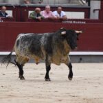 Madrid, domingo 1 de septiembre de 2019