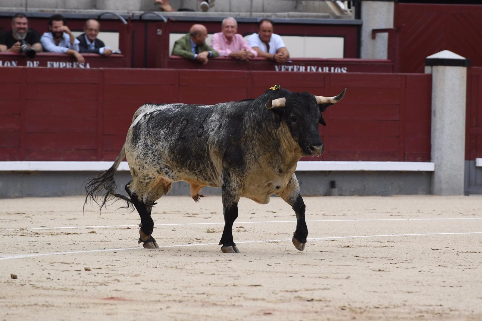 Madrid, domingo 1 de septiembre de 2019