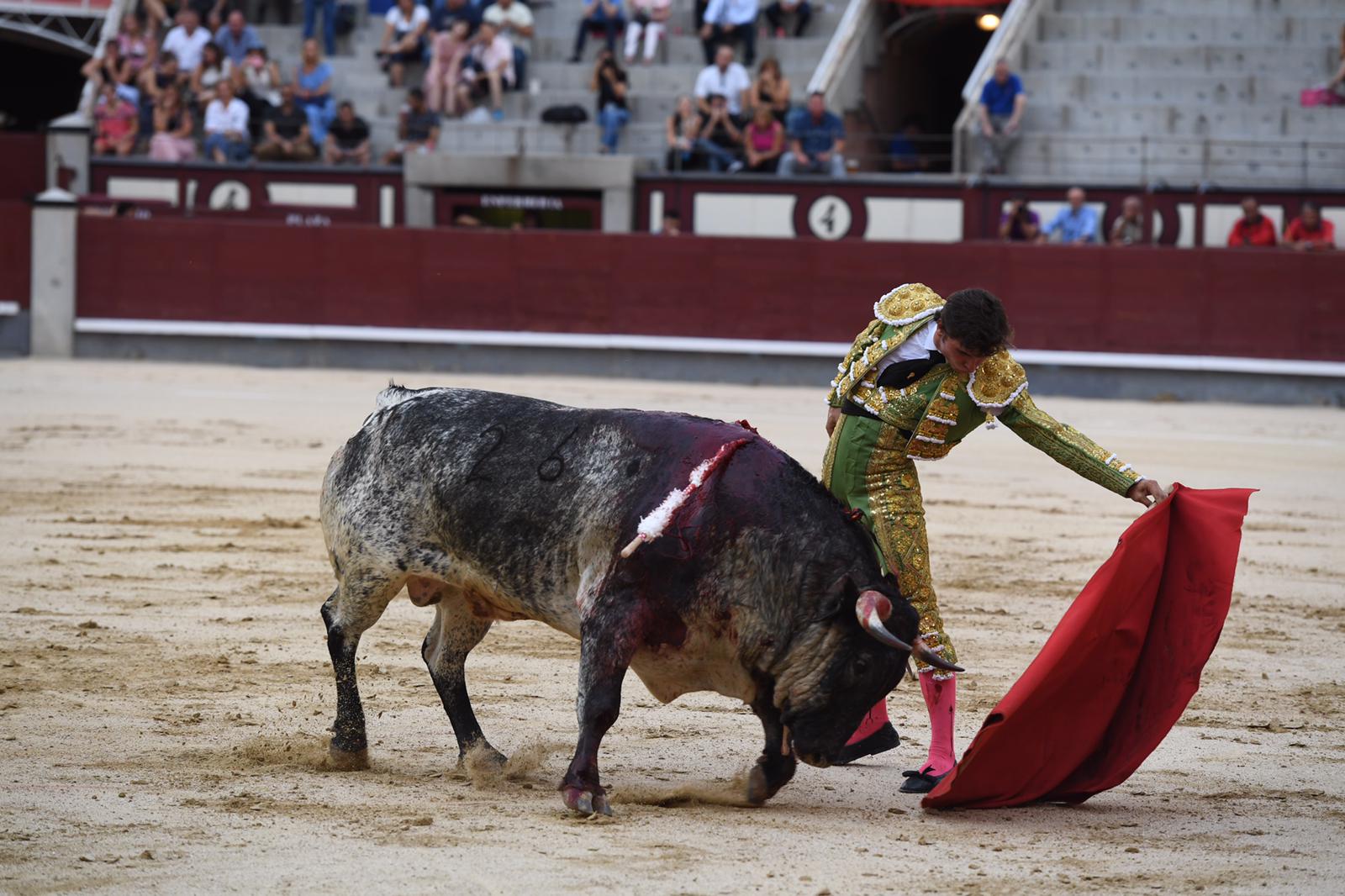 Madrid, domingo 1 de septiembre de 2019