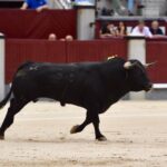 Madrid, domingo 1 de septiembre de 2019