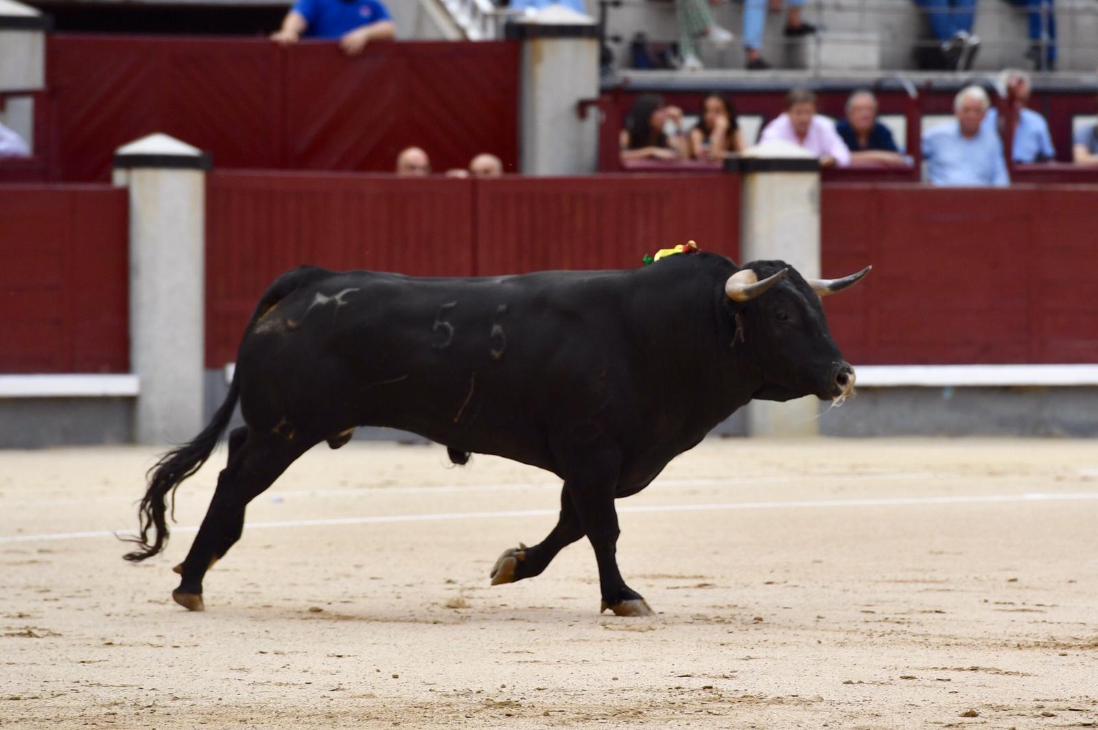 Madrid, domingo 1 de septiembre de 2019