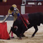 Madrid, domingo 1 de septiembre de 2019