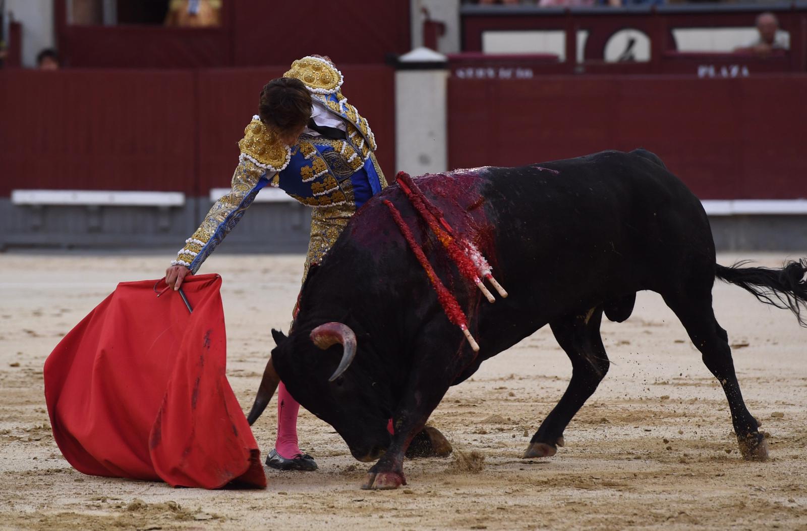 Madrid, domingo 1 de septiembre de 2019