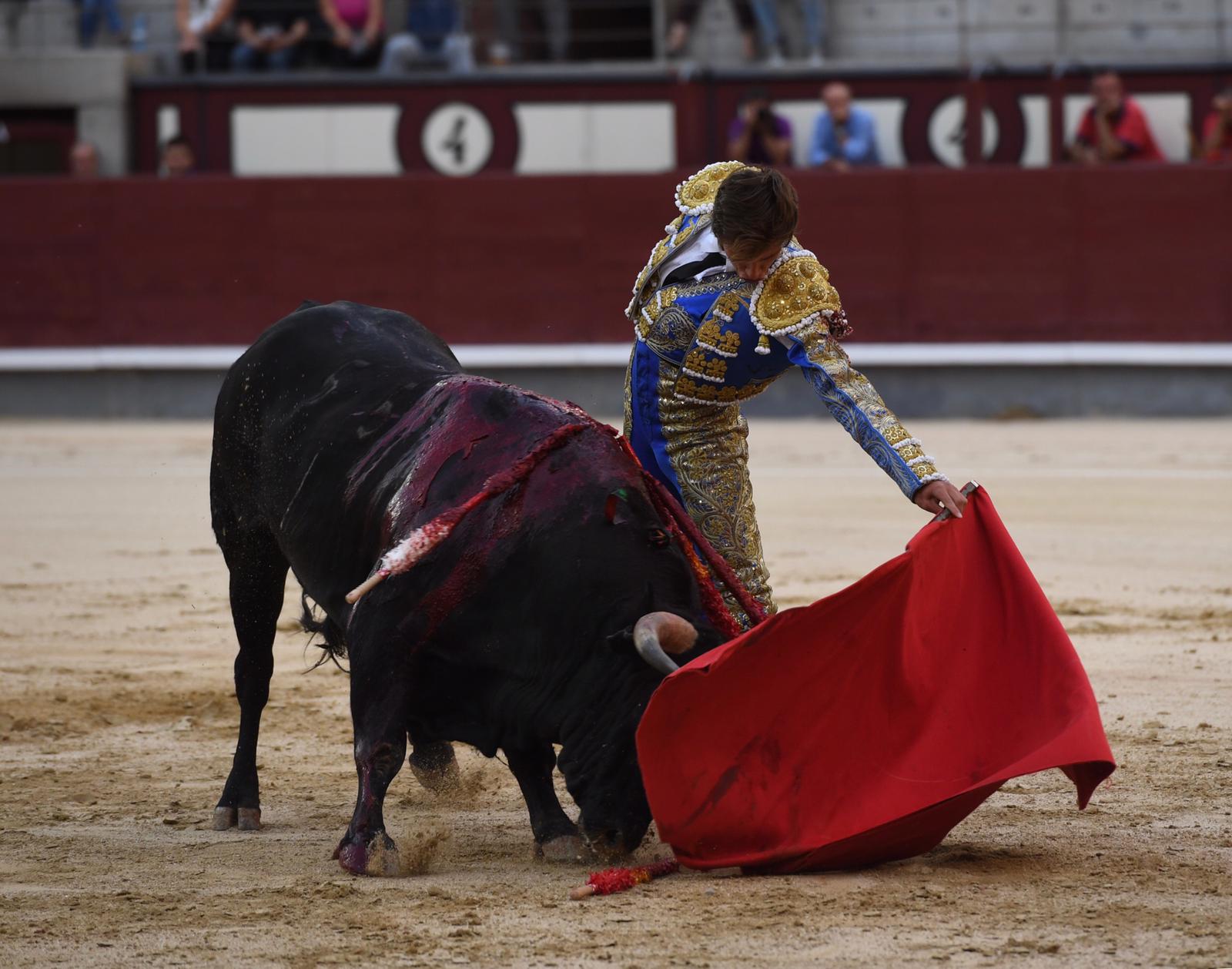 Madrid, domingo 1 de septiembre de 2019