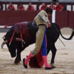 Madrid, domingo 1 de septiembre de 2019