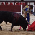 Madrid, domingo 1 de septiembre de 2019