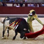 Madrid, domingo 1 de septiembre de 2019